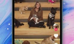 TikTok - Make Your Day screen 3